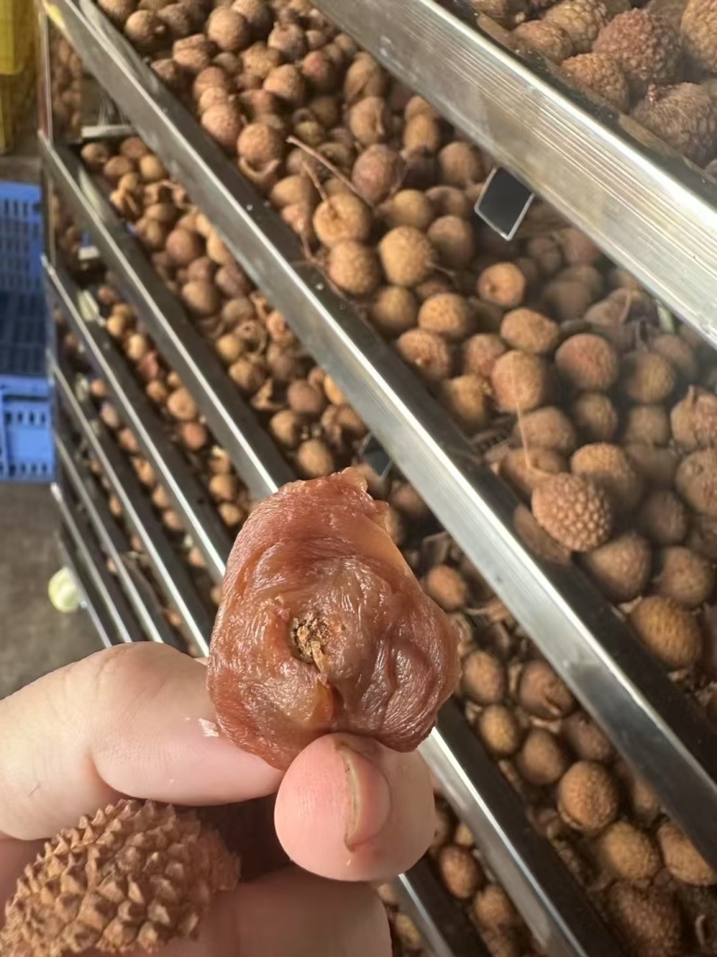 高州桂味荔枝干，长期大量供应，量大价格从优，