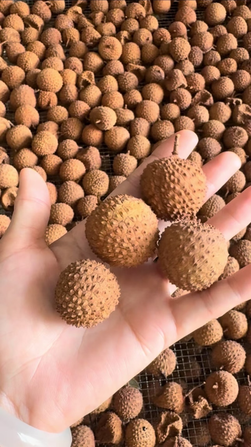 高州桂味荔枝干，长期大量供应，量大价格从优，