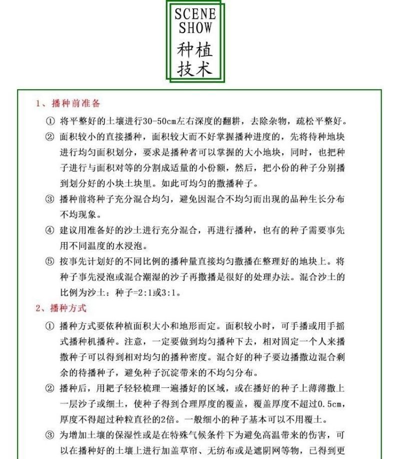 金盏菊种子金盏花种子四季易种花种子长生菊