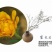 金盏菊种子金盏花种子四季易种花种子长生菊