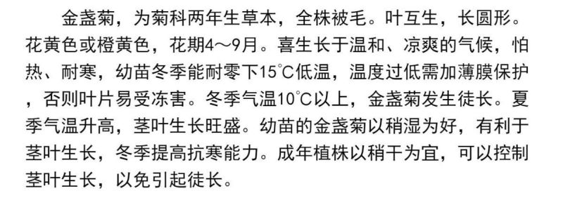 金盏菊种子金盏花种子四季易种花种子长生菊