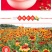 天人菊多年生花卉种子批发