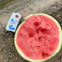 精品美都西瓜开封西瓜大量供应全国发货可视频看货