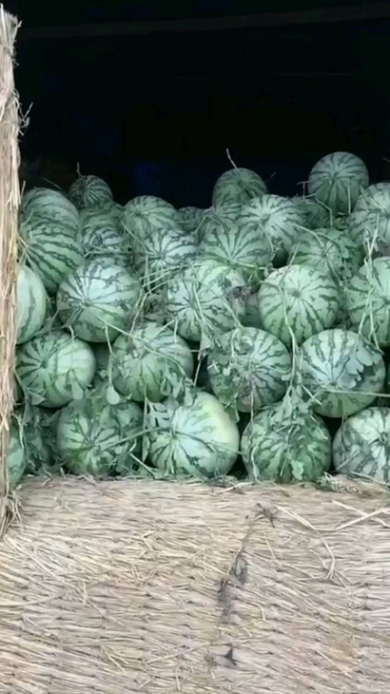 精品美都西瓜开封西瓜大量供应全国发货可视频看货