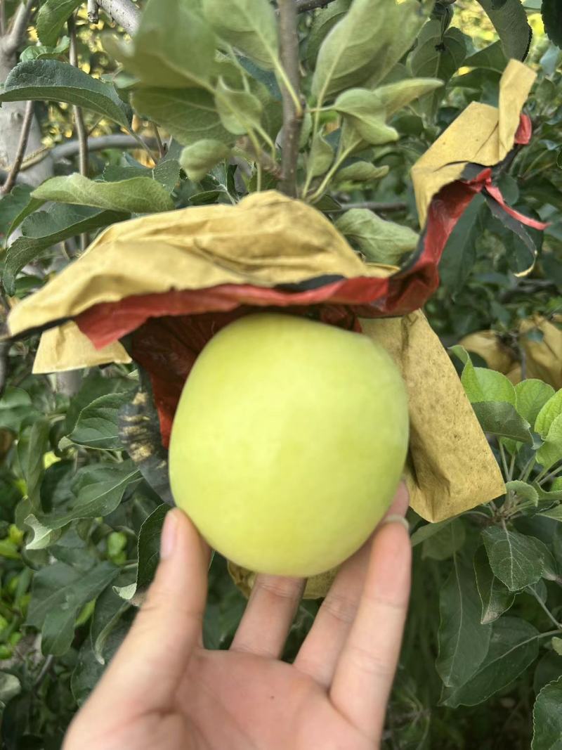 华硕苹果便宜卖