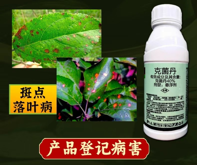 40%克菌丹杀菌剂苹果树斑点落叶病保护性杀菌剂