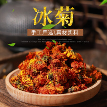 精选西域冰菊花新疆雪菊花