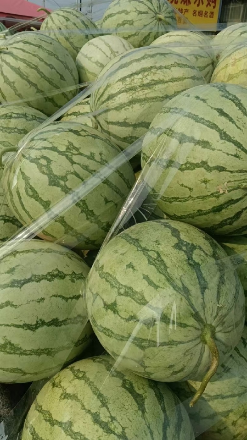 开封无籽西瓜金花西瓜大量供应价格美丽可视频看货