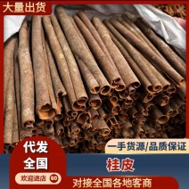 广西肉桂中通批发零售，欢迎来电咨询，规格齐全