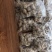 带帽20头足干货，正宗云南文山平坝三年生足干20头带帽七