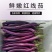 红线茄子细长茄子紫线茄江苏南通当季紫皮长条肉厚皮薄