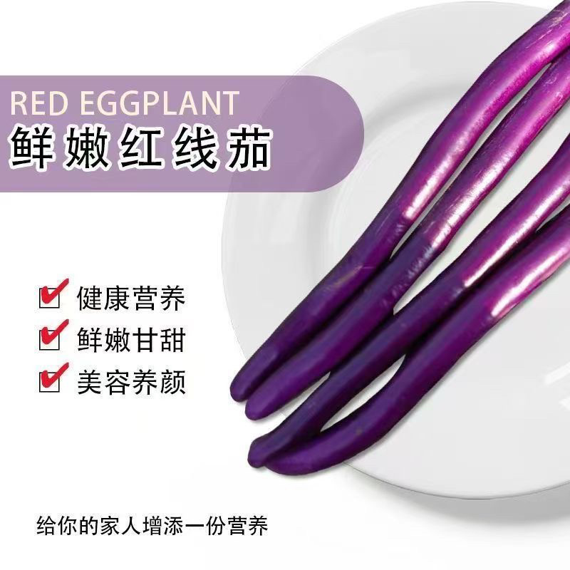 红线茄子细长茄子紫线茄江苏南通当季紫皮长条肉厚皮薄