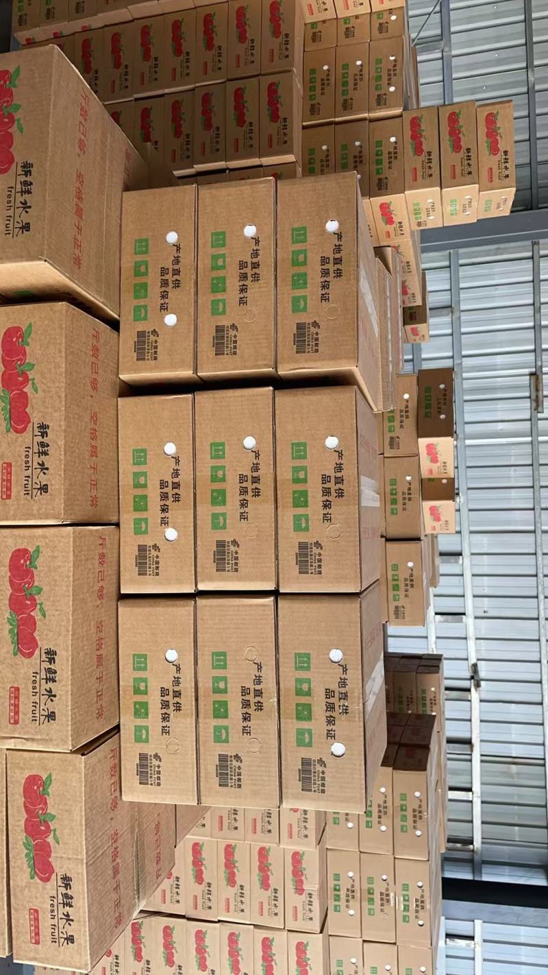 翠冠梨一件代