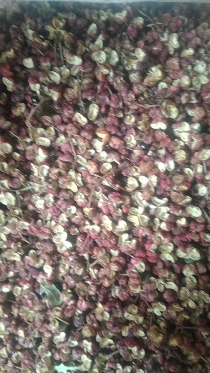甘肃陇南六月花椒大量供应货源充足，量大从优，规格齐全