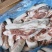 五花肉边角料。肥猪五花肉