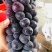 巨峰葡萄批发，***********（微信同步）