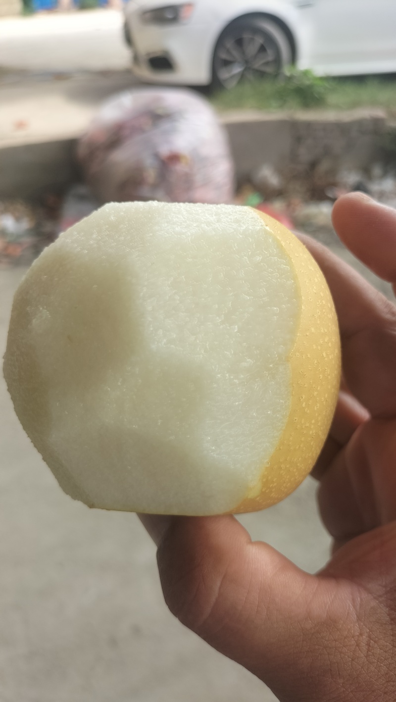 砀山圆黄梨，新玉梨，秋月梨，皇冠梨，原产地对接电商及市场