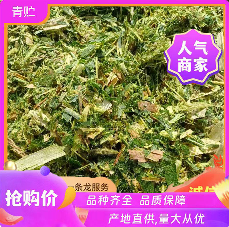 青储饲料全珠玉米杆牛羊草料万亩基地欢迎咨询看货！