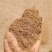 蛋白酒糟粉大量有货诚信经营产地直发可视频看货