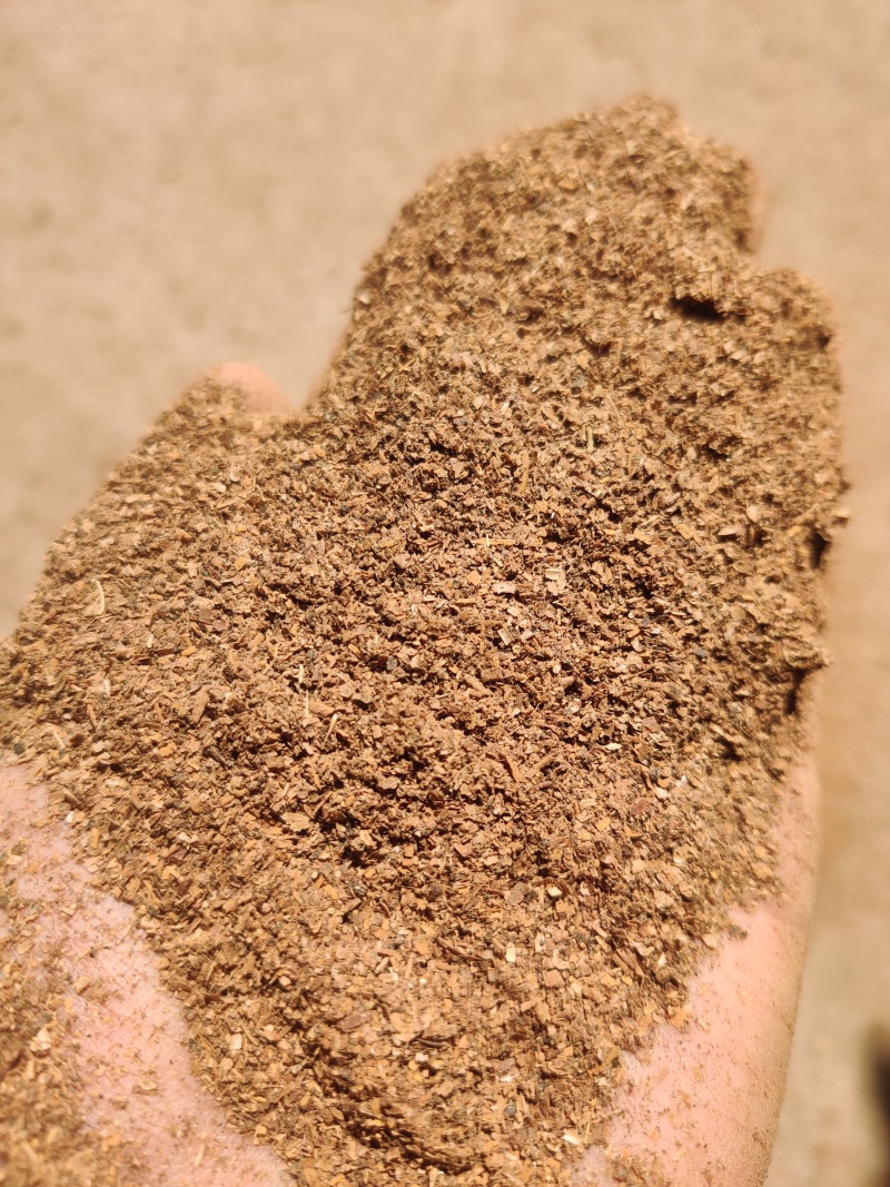 蛋白酒糟粉大量有货诚信经营产地直发可视频看货
