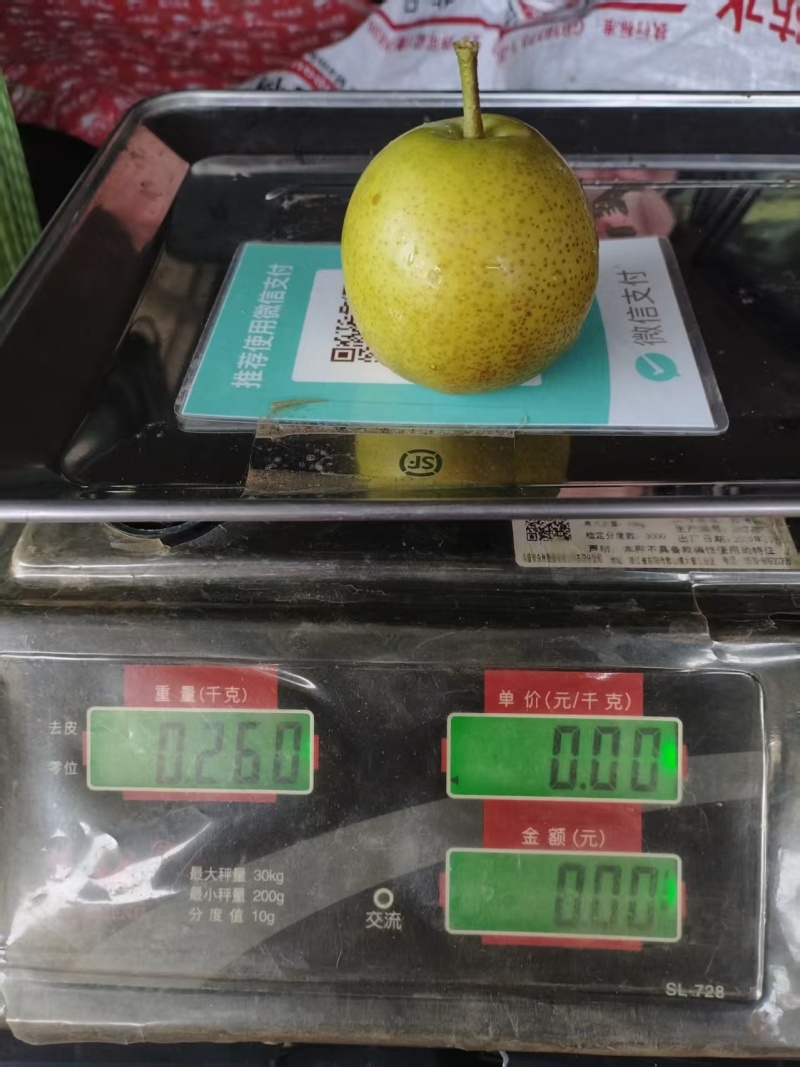 【丽江黄金梨】今日急售货量大欢迎各地老板联系
