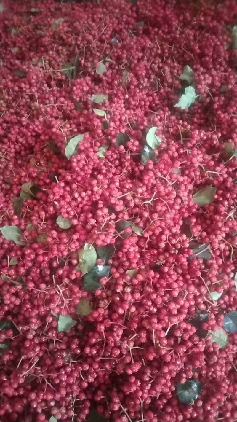 花椒红花椒六月椒大量供应，货源充足，一手货