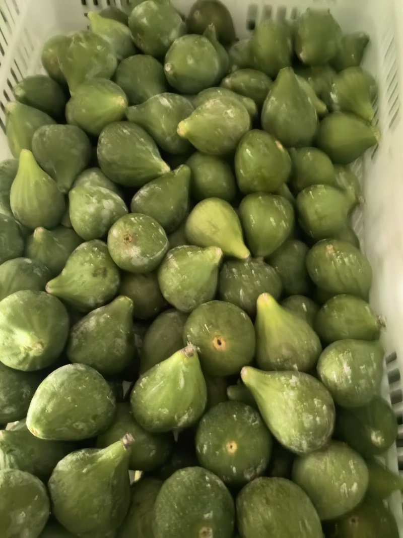 无花果冻果，冻无花果，品质保证，量大从优，欢迎来电