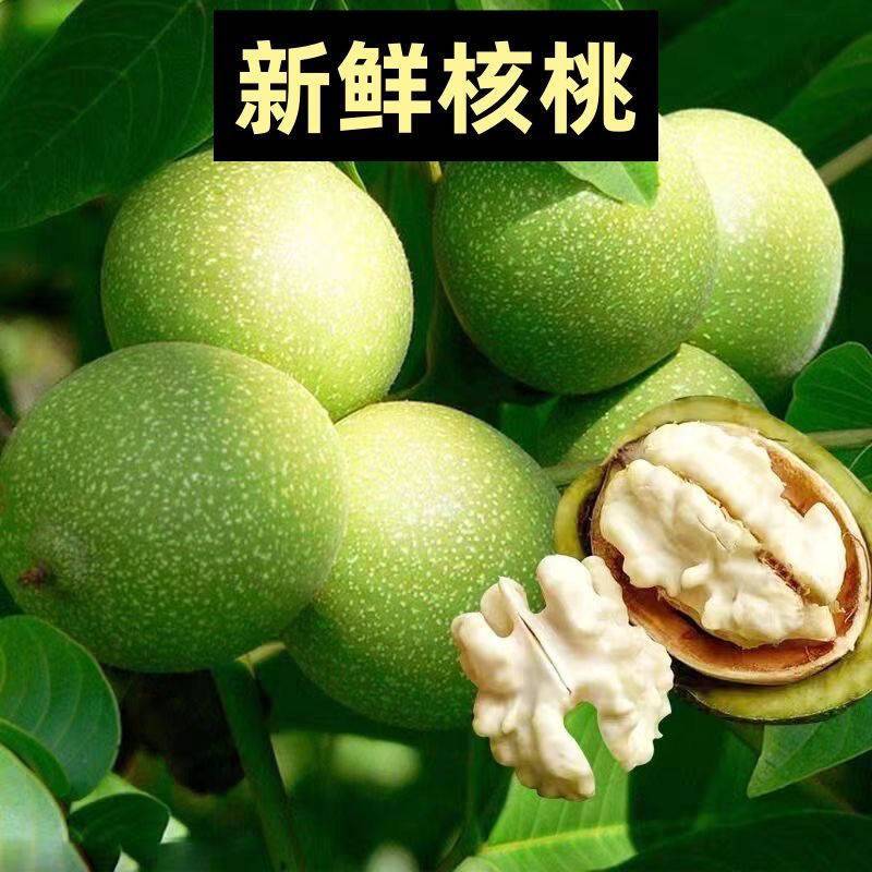 青皮核桃