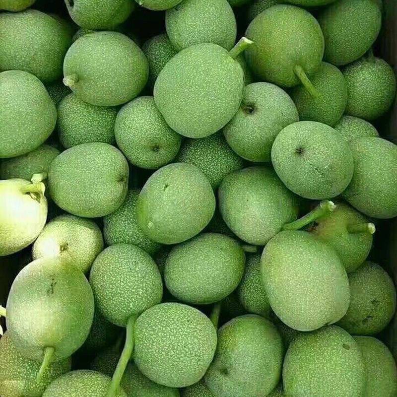 青皮核桃