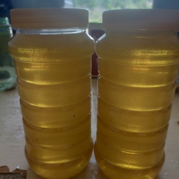 ***中蜂蜜