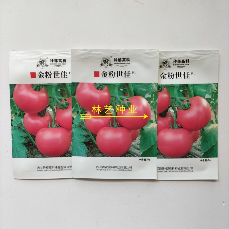 金粉世佳番茄种子无限生长型早熟西红柿种籽抗病大果