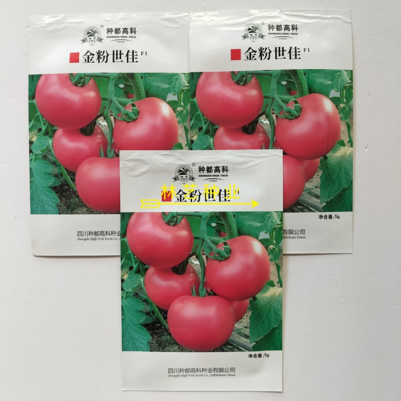 金粉世佳番茄种子无限生长型早熟西红柿种籽抗病大果