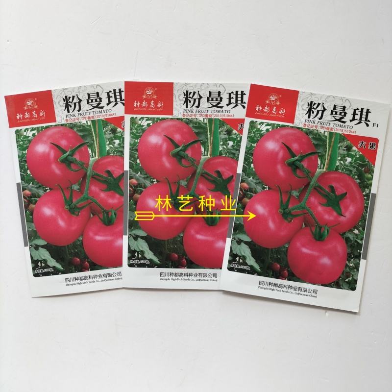 粉曼琪粉红番茄种子无限生长型果肉粉红色口感微甜单