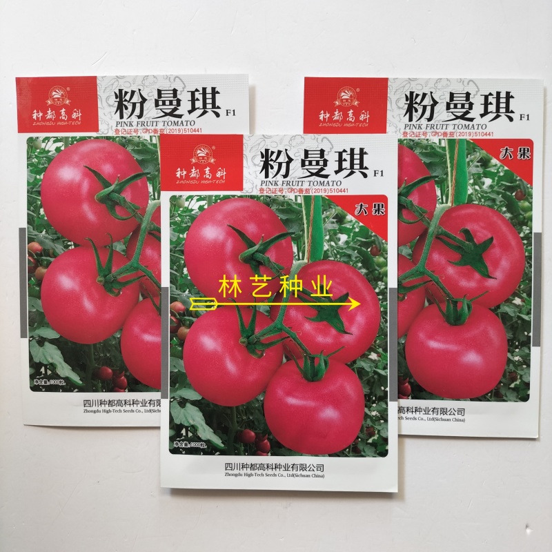粉曼琪粉红番茄种子无限生长型果肉粉红色口感微甜单