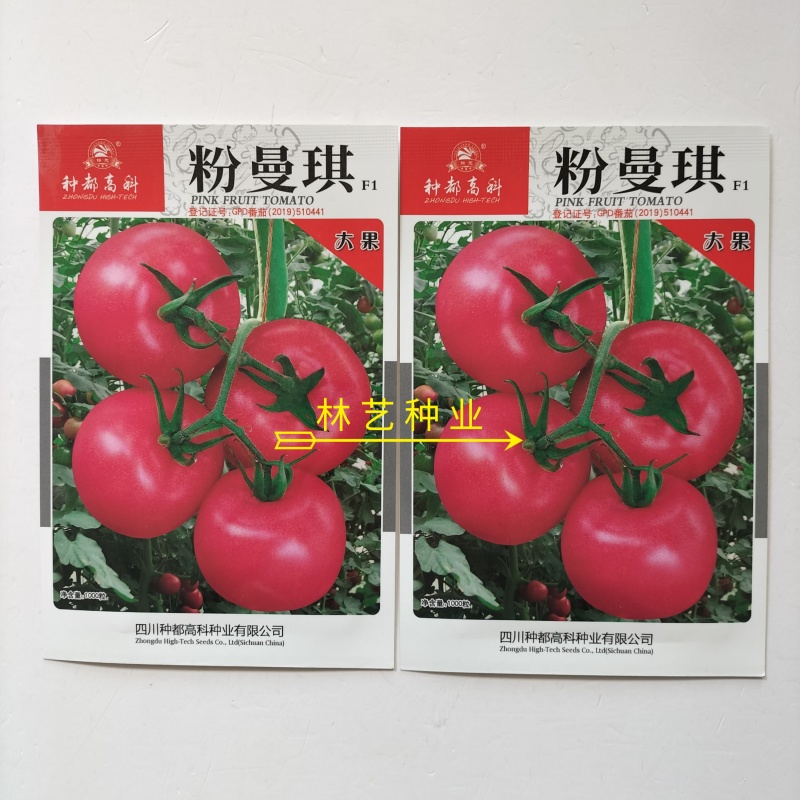粉曼琪粉红番茄种子无限生长型果肉粉红色口感微甜单