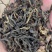 优质晒青普洱茶，红茶，野生古树红，价格美丽！源头批发