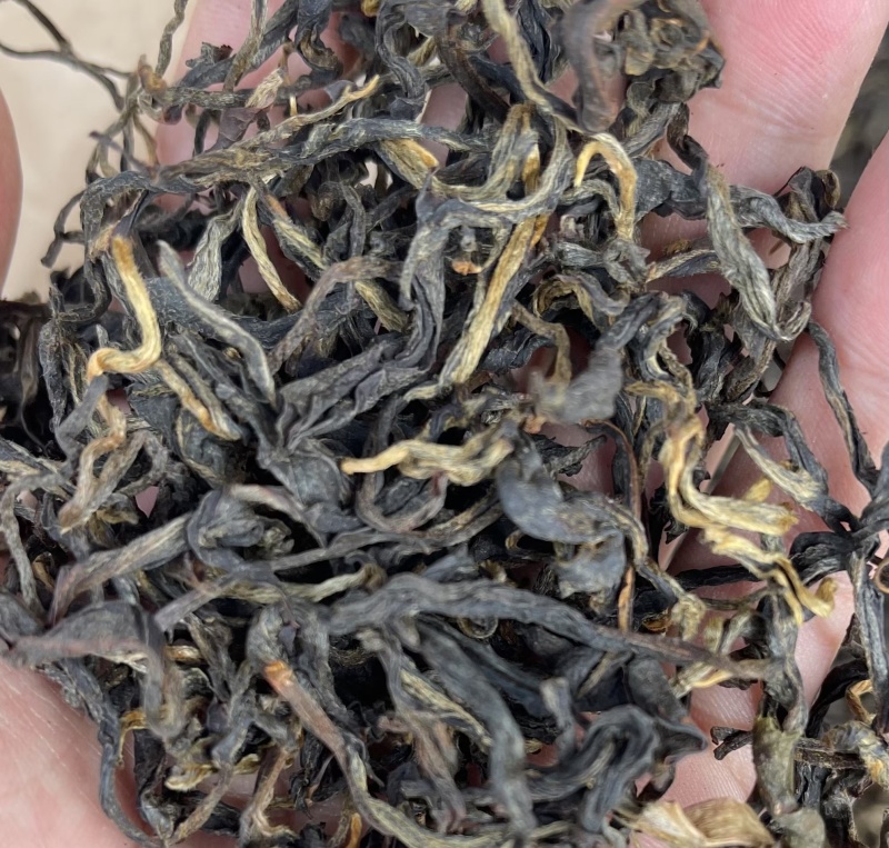 优质晒青普洱茶，红茶，野生古树红，价格美丽！源头批发