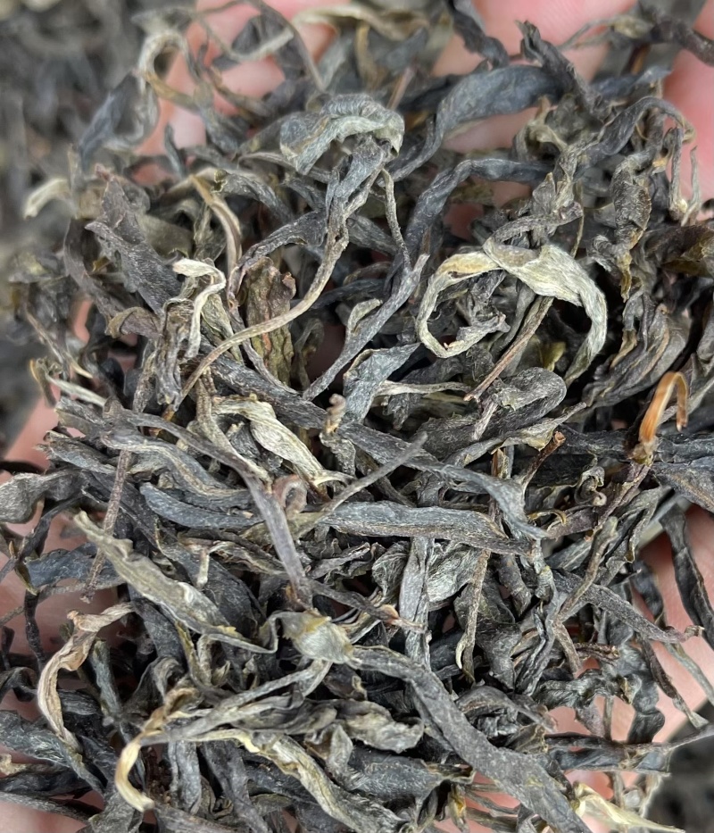 优质晒青普洱茶，红茶，野生古树红，价格美丽！源头批发