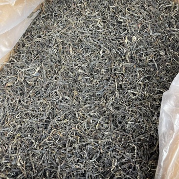 优质晒青普洱茶，红茶，野生古树红，价格美丽！源头批发