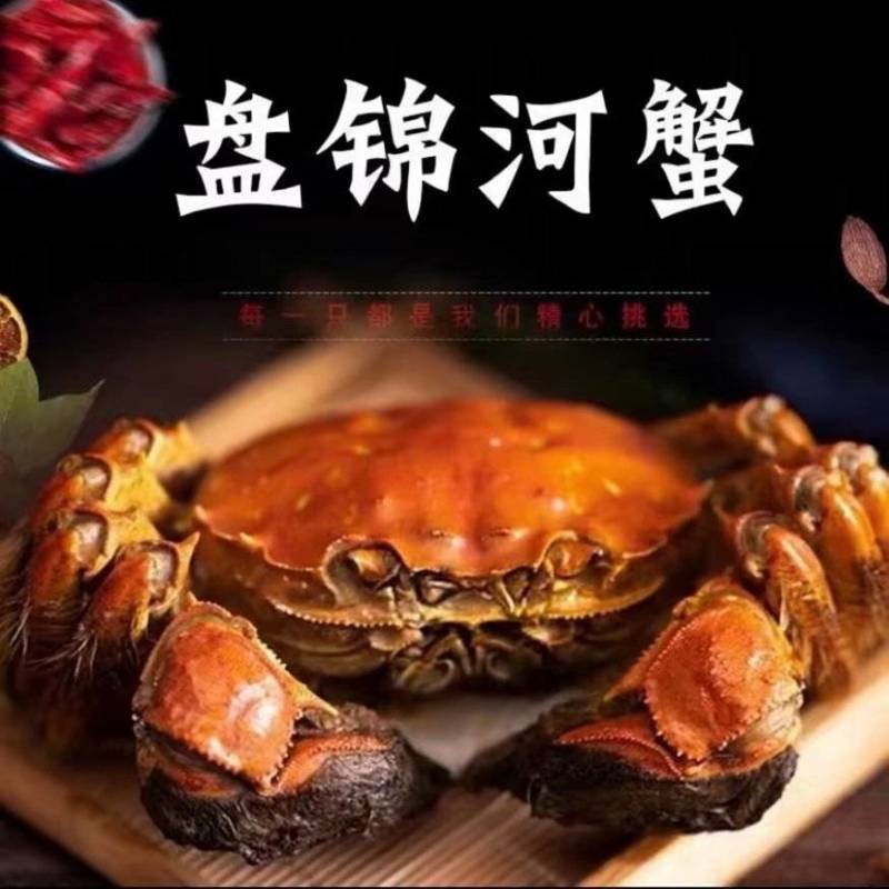 本人常年批发纯稻田盘锦河蟹。有需要的可以联系我。