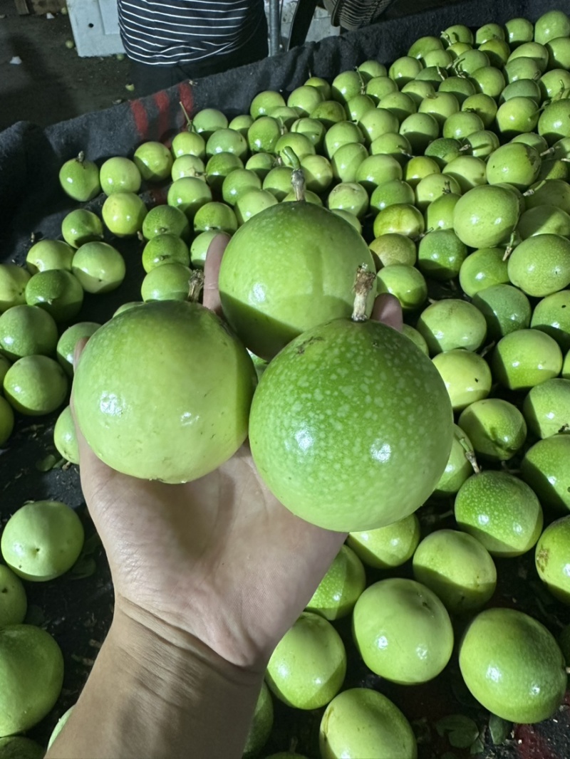 黄金百香果钦蜜9号