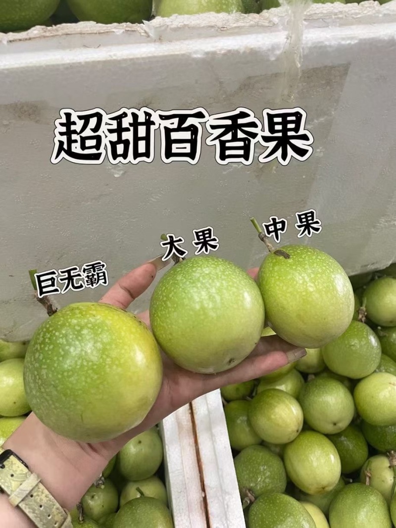 黄金百香果钦蜜9号