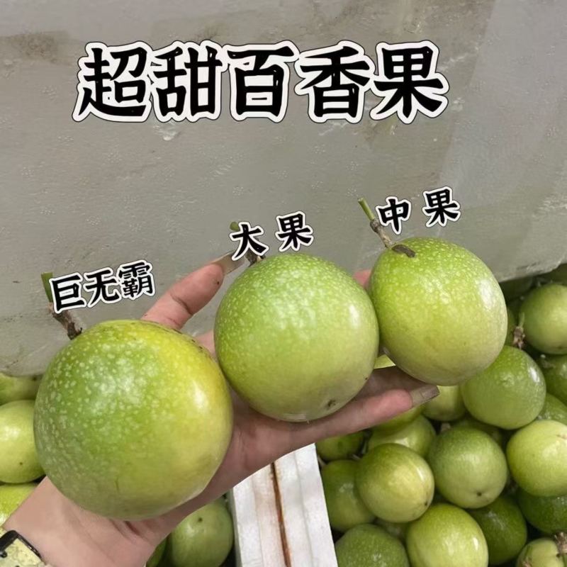 黄金百香果钦蜜9号市场，商超，团购