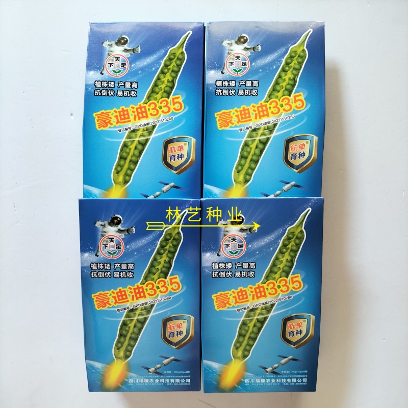 豪迪油335油菜种子高产高油抗倒抗寒秋冬季早熟大粒甘蓝型