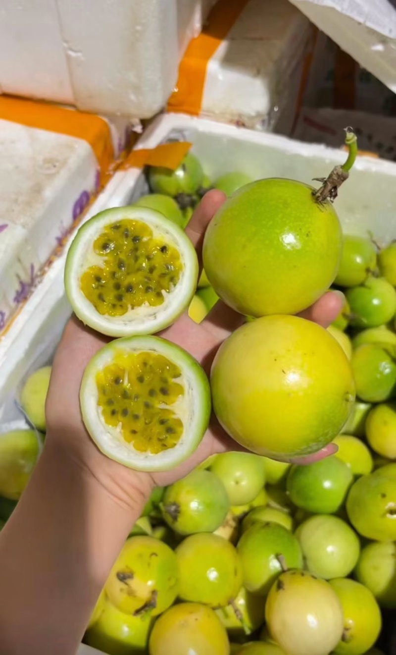 黄金百香果钦蜜9号市场，商超，团购