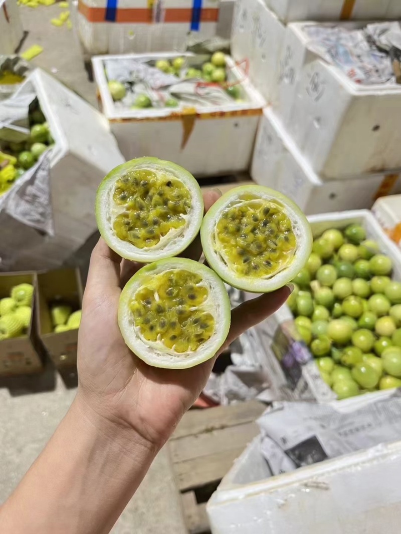 黄金百香果钦蜜9号市场，商超，团购