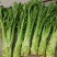 花叶大棒菜棒菜种子优质高产耐寒抗病商品性佳春秋季播种