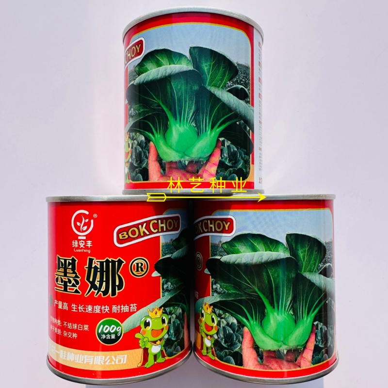 墨娜青菜种子叶柄短基部肥厚小青菜种子软糯微甜苏州青种子