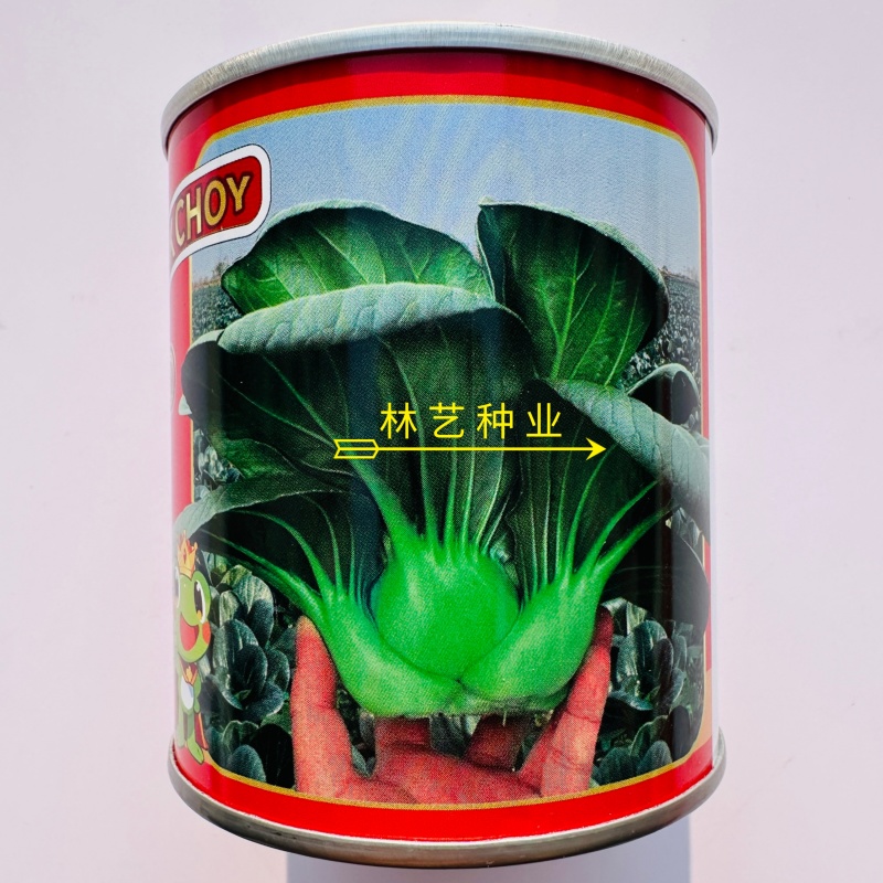 墨娜青菜种子叶柄短基部肥厚小青菜种子软糯微甜苏州青种子