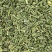 木贼草【包邮】三斤起发货可批量可零售量大从优